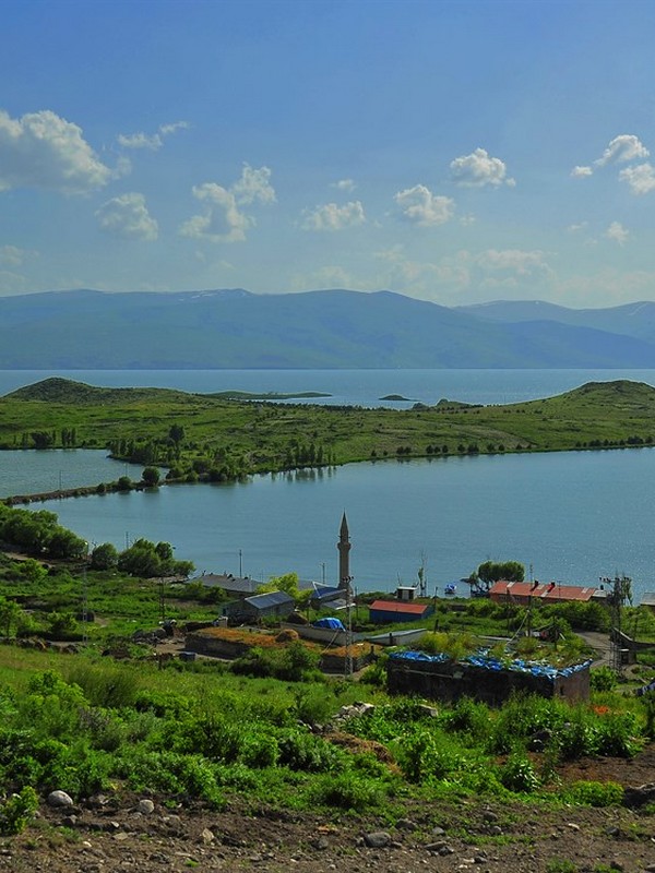 Ardahan Karesi